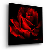 Red Rose Glass Wall Art | Insigne Art Design.
